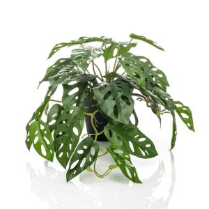 Emerald arbusto artificial de monstera monkey en maceta 55 cm