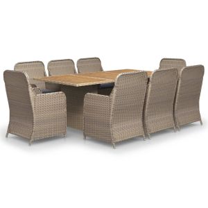 vidaXL juego de comedor para jardín 9 piezas ratán sintético marrón