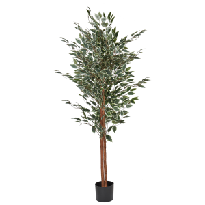 Planta artificial en maceta 167 cm ficus tree