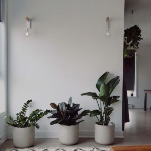 Paquete 2 apliques madera y jaula blanca, coLGante E27 para sala