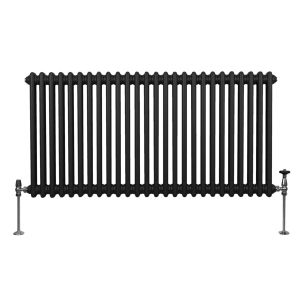 Radiador tradicional horizontal de 2 columnas - 600 x 1192mm - negro